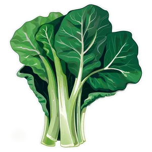 Collard Greens Illustration Png Myy87 PNG image