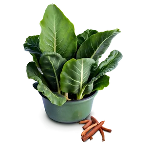 Collard Greens In Pot PNG 06252024