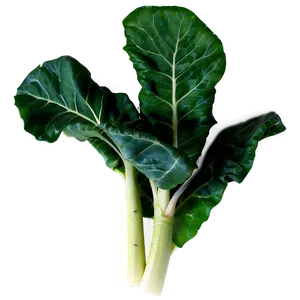 Collard Greens Leaves Png Wox86 PNG image