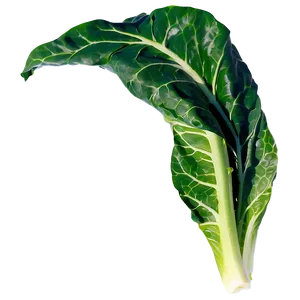 Collard Greens Salad PNG Nek