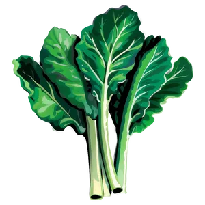 Collard Greens Vector PNG 96 PNG