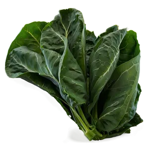 Collard Greens With Peppers PNG 41