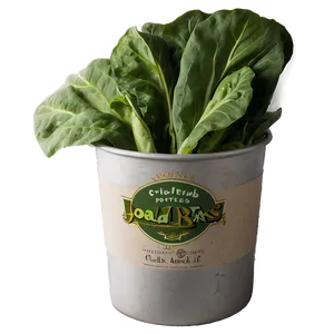 Collard Greens With Potatoes PNG 06252024