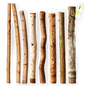 Collection Of Wood Sticks PNG Tuw