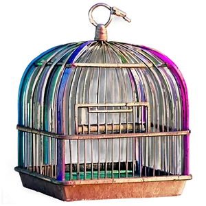 Colored Bird Cage PNG 06122024