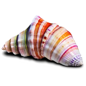 Colored Conch Shell Png 06132024 PNG image