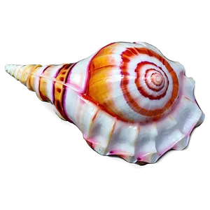 Colored Conch Shell PNG 40