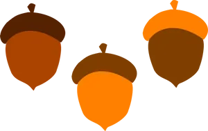 Colorful Acorn Trio PNG image