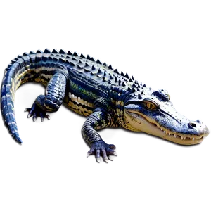Colorful Alligator PNG 05212024 PNG