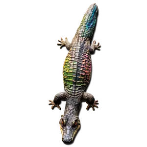 Colorful Alligator PNG 05212024 PNG