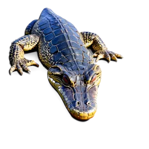 Colorful Alligator PNG 05212024 PNG