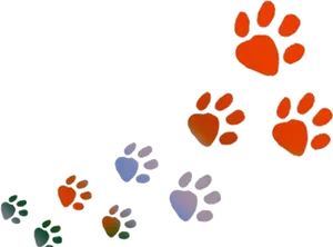 Colorful Animal Paw Prints PNG