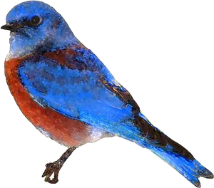 Colorful Artistic Bird Illustration