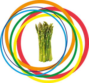 Colorful Asparagus Swirls PNG image