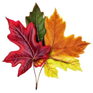 Colorful Autumn Leaves Png Pyu63 PNG image