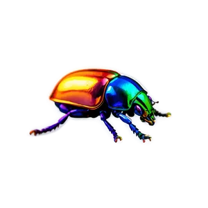 Colorful Beetle Artwork PNG Wls