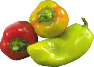 Colorful Bell Peppers Assortment PNG image