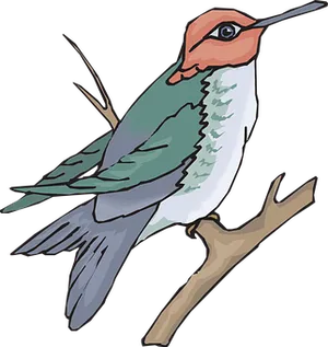 Colorful Bird Illustration
