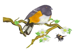 Colorful_ Bird_on_ Flowering_ Branch