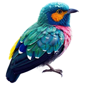 Colorful Bird Species Picture PNG Vyw