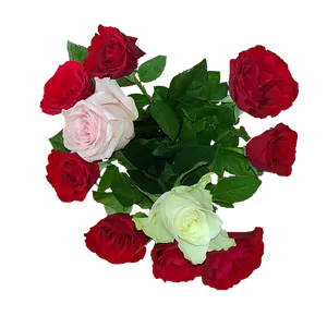 Colorful Bouquetof Roses