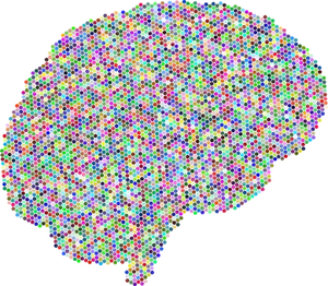 Colorful Brain Connectome Representation