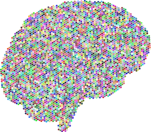 Colorful Brain Connectome Representation PNG image