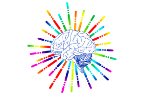 Colorful Brain Illustration PNG image