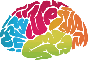 Colorful Brain Illustration PNG image