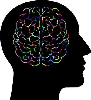 Colorful Brain Silhouette Clipart PNG image