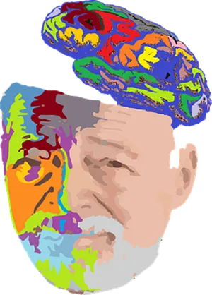 Colorful Brain Silhouette Portrait PNG image