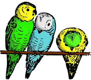 Colorful Budgerigars On Branch
