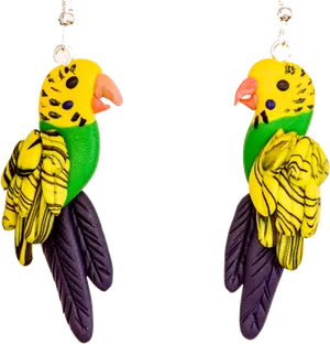 Colorful Budgie Earrings Transparent Background PNG image