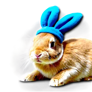 Colorful Bunny Hat Vibrant PNG Lwh