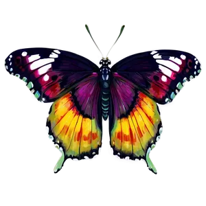 Colorful Butterfly B PNG