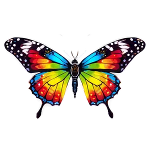 Colorful Butterfly C PNG