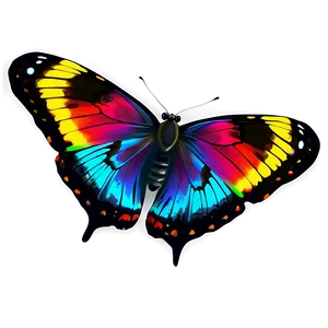 Colorful Butterfly D
