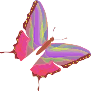Colorful Butterfly Illustration