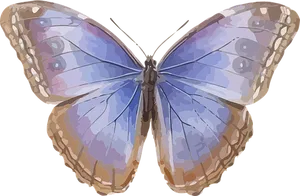 Colorful Butterfly Illustration