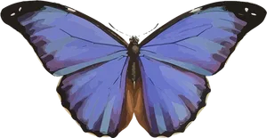Colorful Butterfly Illustration