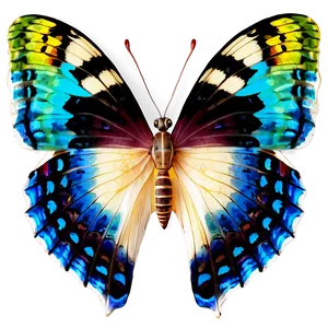 Colorful Butterfly PNG 06262024 PNG