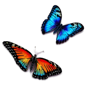 Colorful Butterfly PNG 06262024 PNG