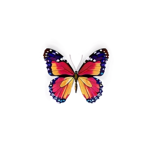 Colorful Butterfly Png 06262024 PNG image