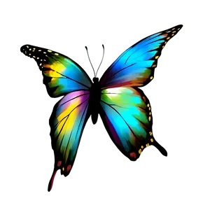 Colorful Butterfly PNG 06262024 PNG
