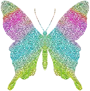 Colorful Butterfly Wing Artwork PNG image