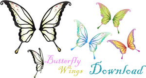 Colorful Butterfly Wings Collection PNG