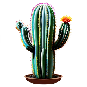 Colorful Cactus Png Tns PNG image