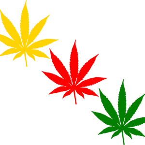 Colorful Cannabis Leaves Graphic PNG image