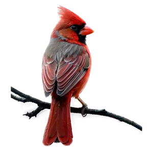 Colorful Cardinal Tattoo Design PNG 60