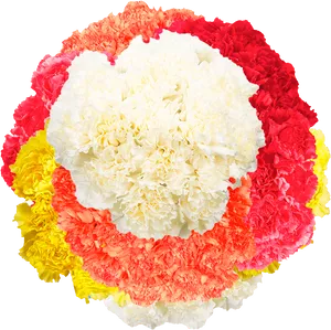 Colorful Carnation Flower Arrangement PNG image